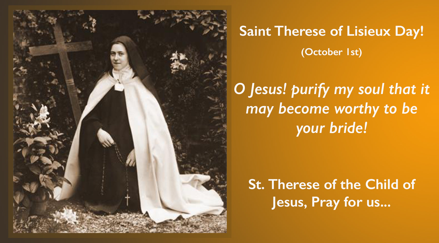 Saint Therese Child of Jesus, Pray for us...